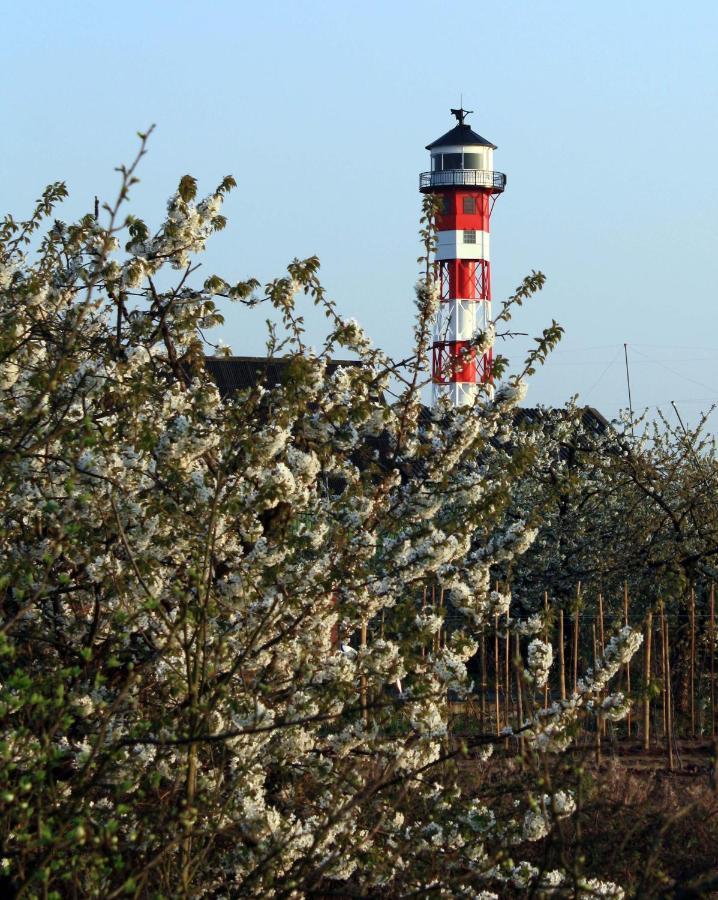 Fewo Blankenese Im Haus Luehegarten Grünendeich Kültér fotó