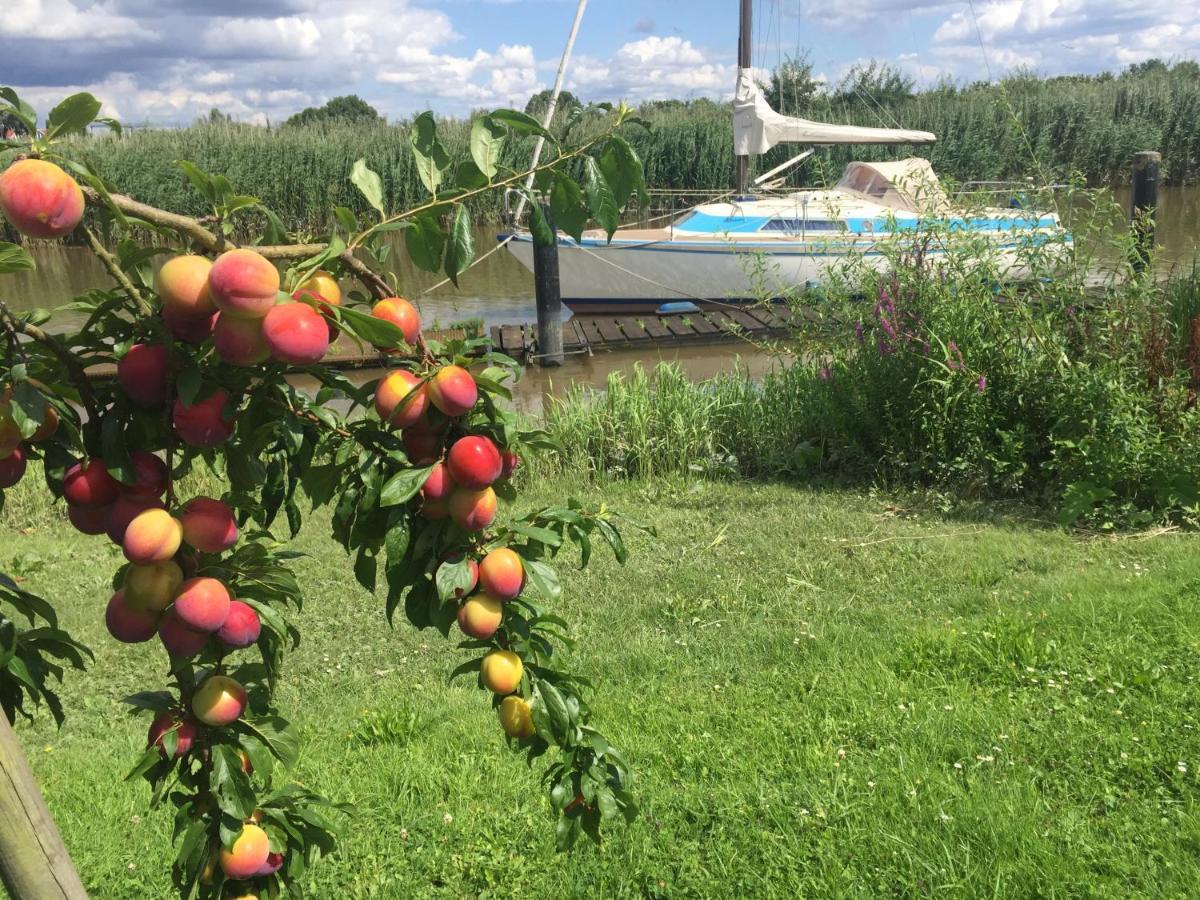 Fewo Blankenese Im Haus Luehegarten Grünendeich Kültér fotó